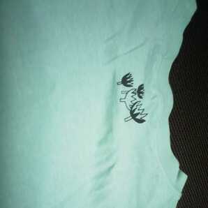 キャラクターTシャツ 半袖 ミント（コミック） ムーミン 綿100％ 株式会社グレイス Mサイズ 154～162の画像8