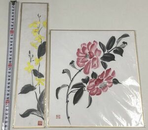 Art hand Auction 色紙 花 絵 セット 山下秀苑 寒椿 他, 美術品, 絵画, その他