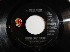 Jimmy &#34;Bo&#34; Horne You Get Me Hot Sunshine US S-1014 200699 SOUL DISCO ソウル ディスコ レコード 7インチ 45