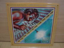 LP[BLUES] FENTON ROBINSON I HEAR SOME BLUES DOWNSTAIRS ALLIGATOR 1977 フェントン・ロビンソン_画像1