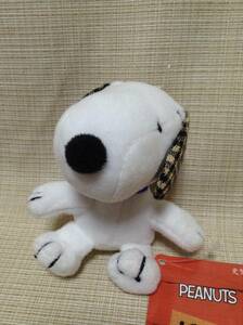 Snoopy Key Chain Check Phatel