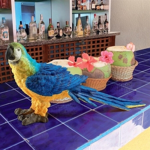 [mo-tima-] и имя., темно синий go длиннохвостый попугай . obi попугай гравюра изображение скульптура / попугай Cafe bird Cafe салон этнический ( импортные товары )