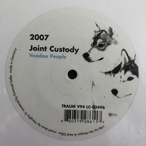 Mathew Leutwyler・Joint Custody / 2007 [Traum Schallplatten TRAUM V94] ホワイトカラー盤_画像3