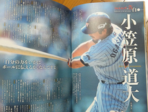 ベースボールマガジン 別冊早春号 2018年3月号 Vol.3 No.2 フルスイングの美学／フライボール革命 山川穂高 柳田悠岐 小笠原道大 池山隆寛_画像5