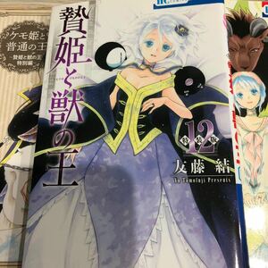 ★特装版　贄姫と獣の王　１２ ★特装版小冊子★8