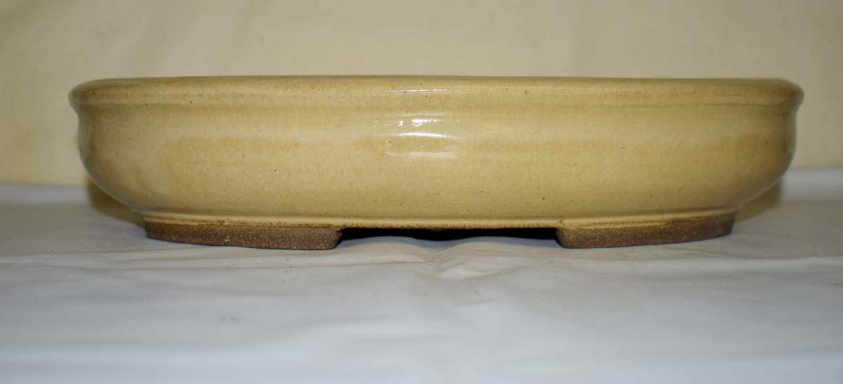 ヤフオク! -白交趾の中古品・新品・未使用品一覧 特価品コーナー 白交趾長方鉢 箱付 陶芸