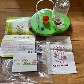 チャレンジ二年生 5月号付録 水の畑で育てるトマト 【タネ.肥料.四角いトマトケースは無し】