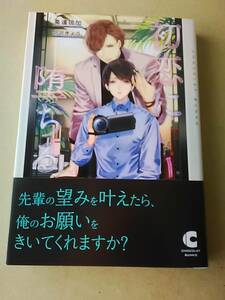 初恋に堕ちる　ショコラ文庫　高遠琉加　ペーパー付