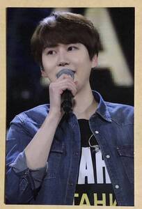 SUPER JUNIOR SJ ギュ キュヒョン KYUHYUN ペンミ Super Camp おかき トレカ