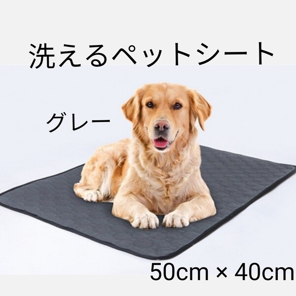 犬猫 ペット用 トイレシート 吸水マット 滑り止め　グレー 50cm ×40cm 