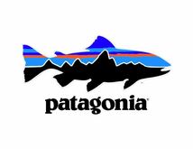 送料格安スピード発送！良品★Patagoniaパタゴニアシンチラジップフリース★Mサイズハイキング登山トレランマラソントレッキング_画像10