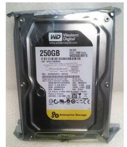 WesternDigital WD2502ABYS 250GB RE3 SATAII 3.5 16M HDD