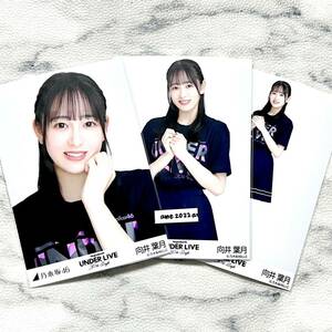 《乃木坂46》公式グッズ 生写真 向井葉月　アンダーライブ 2022 ランダム生写真　3枚コンプ 30thSG アンダーライブ Tシャツ ヨリチュウヒキ