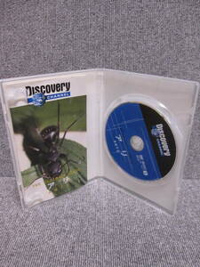 【3点以上落札送料無料 同梱歓迎】激レア！DVD ディスカバリーチャンネル Discovery CHANNEL アリ のすべて GUIDE ANTS ドキュメンタリー