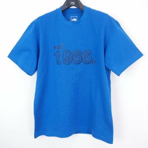 THE NORTH FACE ザ ノース フェイス S/S Big Solid Tee メンズ 半袖カットソー ビッグソリッド Tシャツ 立体刺繍 BANFF BLUE M