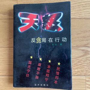 中国語　書籍　小説　読み物　本　天怒　簡体字