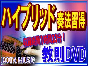  guitar. hybrid . law . profit DVD. animation have 