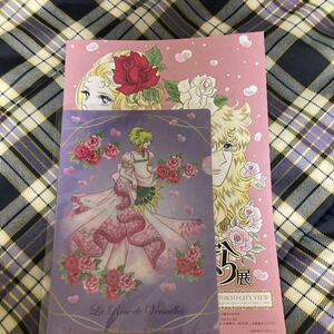 [ The Rose of Versailles ]o Skull прозрачный файл A5 версия 50 anniversary commemoration проспект имеется 