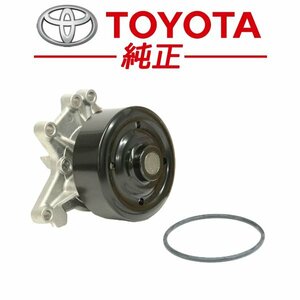 ★新品未使用品★ MR-S トヨタ 純正 エンジン ウォーターポンプ Oリングセット 型式 ZZW30 ASSY JDM