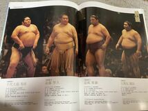 新品 2018年 平成30年 大相撲 名古屋場所 7月場所 パンフレット 未使用　写真集_画像9