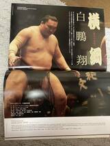 新品 2018年 平成30年 大相撲 名古屋場所 7月場所 パンフレット 未使用　写真集_画像3