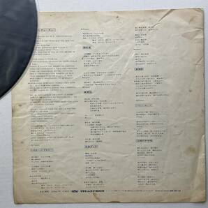 激レア 1975 オリジナル 細野晴臣 トロピカルダンディー Haruomi Hosono Tropical Dandy レコード LP PANAM GW 4012 Tin Pan Alley YMOの画像10