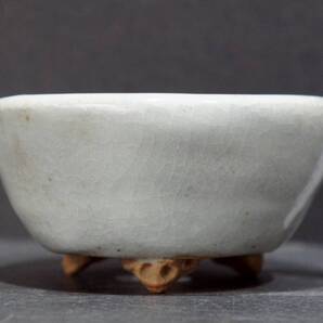 せいこ 盆栽鉢 直径9.5cm 高さ4.5cm