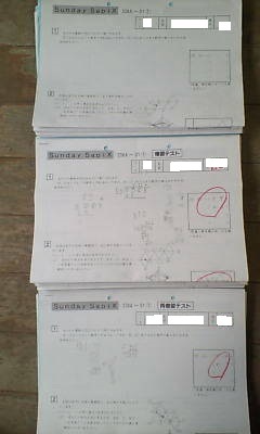 サンデー サピックス・難関校 SS特訓*6年*算数/開成 対策プリント*全37回 完全版~復習テスト 再復習テストあり*貴重*値下げ