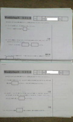 サピックス SAPIX*6年 小6*算数/ウィークリーサピックス 土曜特訓 プリント B*全30回*筑駒 開成 聖光学院 難関