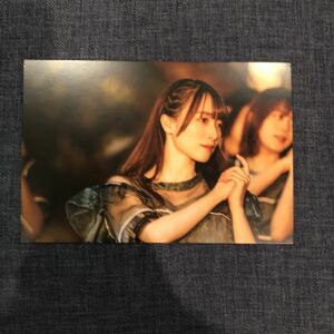 【守屋麗奈】 櫻坂46 ファンクラブ 新規入会限定 ポストカード　全国ツアー