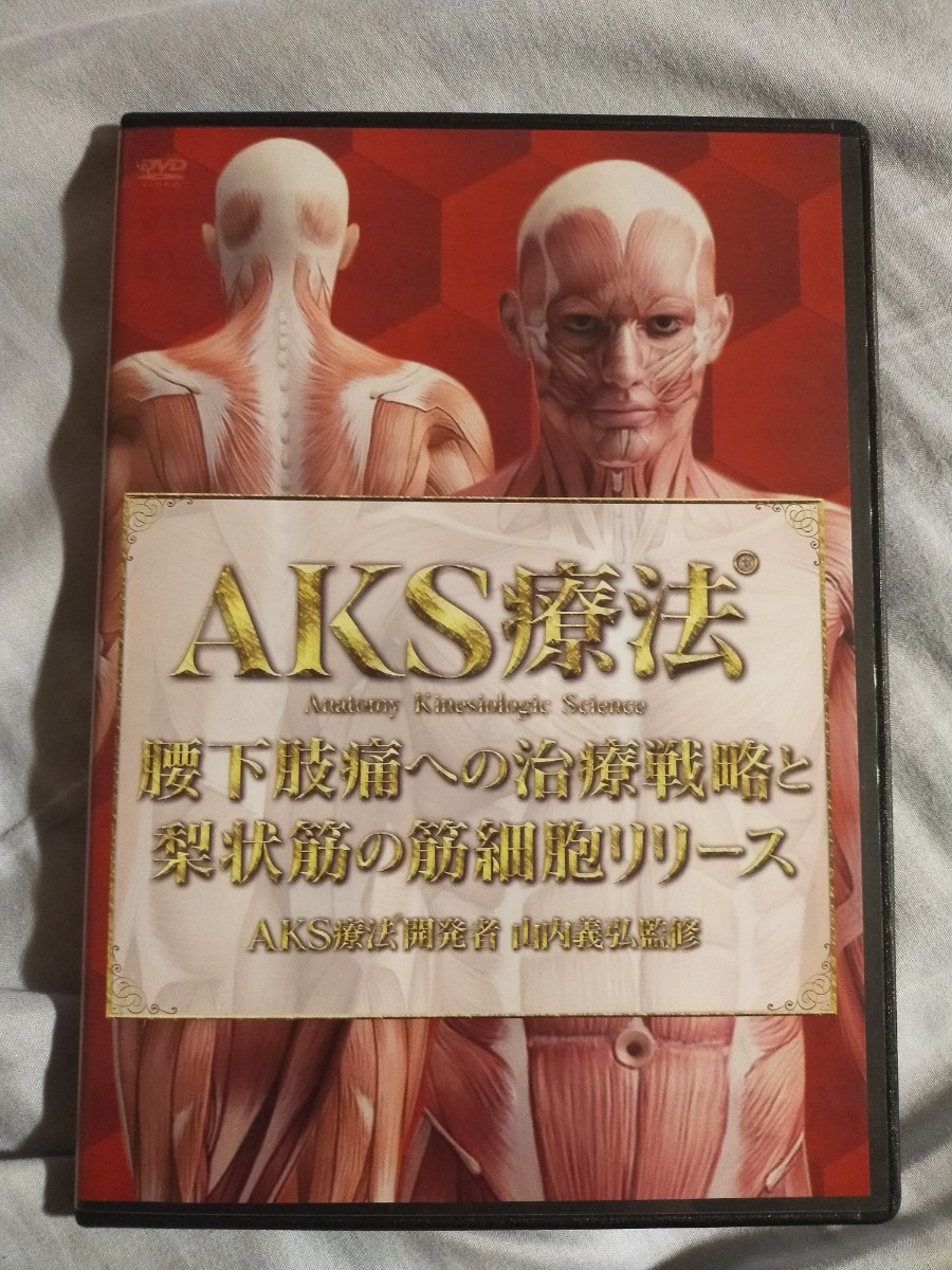サイン・掲示用品 パネル 山内義弘 AKS療法 豪華解説マニュアル付き