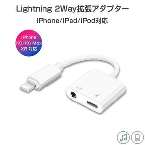 ライトニングポート イヤホンジャック 拡張アダプター 高品質 変換 充電 iPhoneXS/XSMax/XR/8/8Plus/7/7Plus 1ヶ月保証「L-3.5L.D」