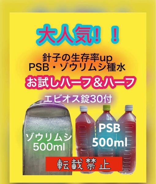 光合成細菌 PSB ゾウリムシ 種水 エビオス錠 説明書付 エサ めだか 針子