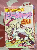 ☆初版 願いがかなう! ドリームキャッチ占い (ヤングセレクション) マイバースディ編集部 MyBirthday編集部 実業之日本社_画像1