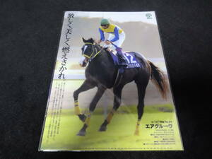 JRA ヒーロー列伝No.44 エアグルーヴ クリアファイル 新品未開封 2016年来場ポイント