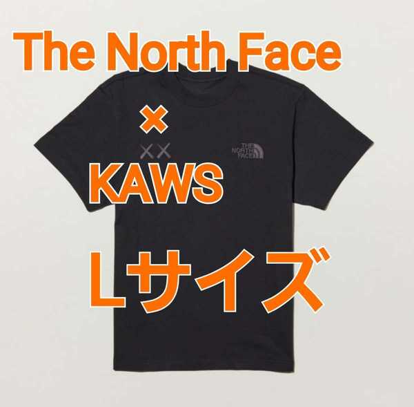 The North Face×KAWS☆T-shirt Lサイズ Large Black ブラック 黒 Tシャツ ノースフェイス カウズ