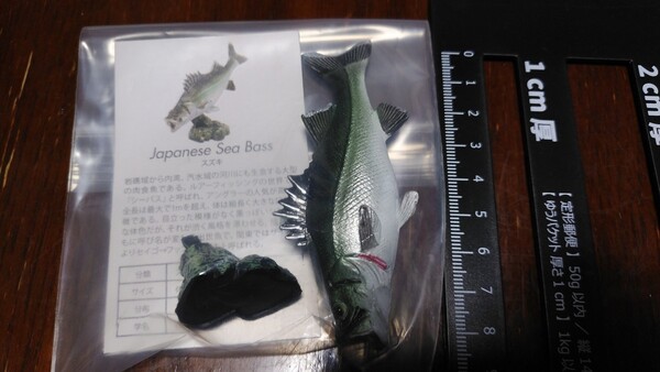 シーバス フィギュア 置物 魚 いきもの 魚釣り いきもん 大図鑑