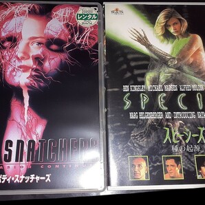 DVD　エイリアンホラー映画　　ボディ・スナッチャーズ　　スピーシーズ 種の起源