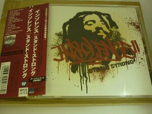 CDB3210　インソレンス　/　スタンド・ストロング　/　国内盤中古CD　送料100円