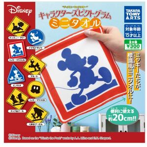 即購入OK！Disney キャラクター　ピクトグラム　ミニタオル2点セット！ミッキーマウス　ドナルドダック　