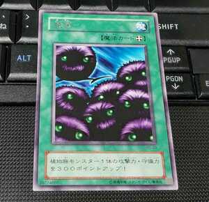 遊戯王　魔菌　PG-29　字レア　即決