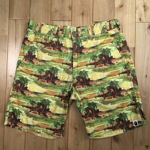 undefeated × BAPE ハーフパンツ Sサイズ a bathing ape shorts エイプ ベイプ アベイシングエイプ アンディフィーテッド gp50