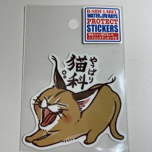 やっぱり猫科　サーバルキャット　ビーサイドレーベル　B-SIDE LABEL ステッカー　シール　bsidelabel あくびにゃんこ　ネコ　猫