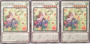 【遊戯王】いろはもみじ 3枚セット ノーマル シンクロ