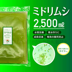 【ミドリムシ　種水　増量　2500ml】めだか　メダカ　針子　エサ 稚魚　psb　 金魚　ミジンコ　クロレラ　ゾウリムシ 培養におすすめ