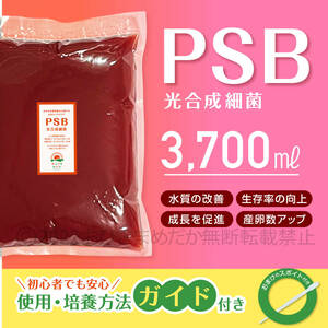 特濃縮★PSB　光合成細菌　3700ml　★　メダカ　めだか　クロレラ　金魚　熱帯魚　ミジンコ　ゾウリムシ　ミドリムシ　スポイト付き