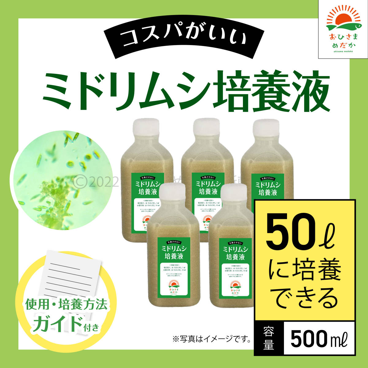 大切な人へのギフト探し タマミジンコ爆殖装置 バケツ無し ivv-jva.com
