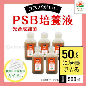 高コスパ【PSB培養液 500ml　50L培養分　送料無料】光合成細菌　メダカ めだか 金魚 ミジンコ　ゾウリムシ　クロレラ　ミジンコ 培養に