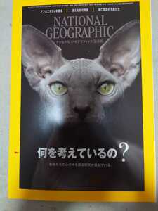 ナショナルジオグラフィック日本版 2022年10月号　何を考えているの?