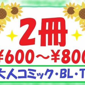 大人コミック レディースコミック TLコミック 【2冊600円～800円】お好きなコミック選べます ①